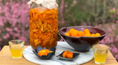 Recipe Honey Fermented Kumquats Recipe Kumquats Fermentation Tepache Recipe