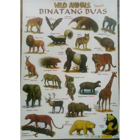 Jual Poster hewan buas / poster edukasi pengenalan binatang buas | Shopee Indonesia