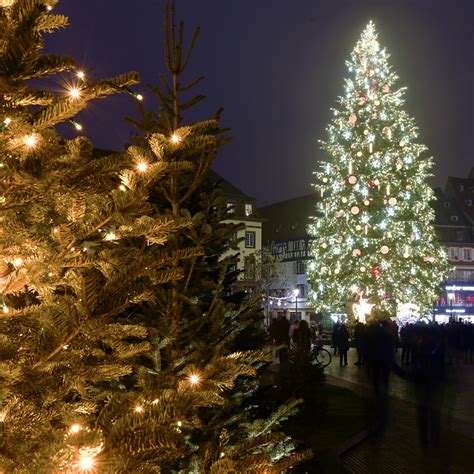 Diaporama No L Les Plus Beaux Sapins Travers Le Monde