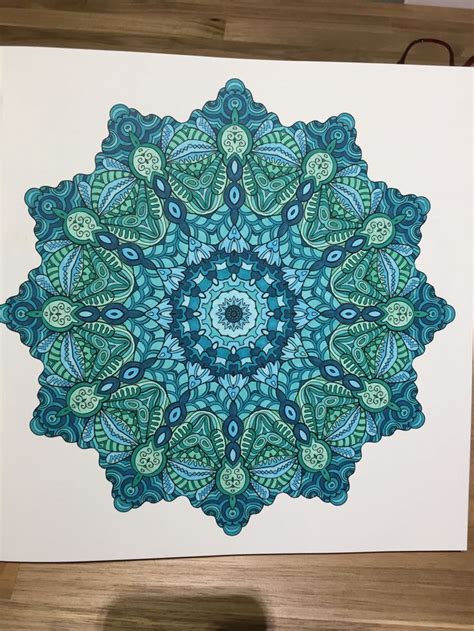 Het Enige Echte Mandala Kleurboek Artists Edition 2 Kleurboek