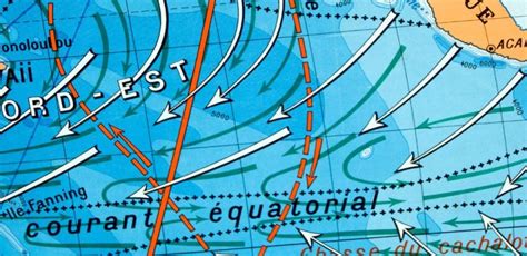 How Ocean Currents Impact Marine Life – Lazy Seas⛱️