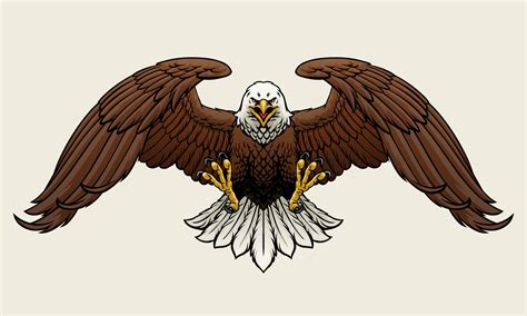 Fierce Bald Eagle Spread the Wings Vector Illustration 25678783 Vector ...