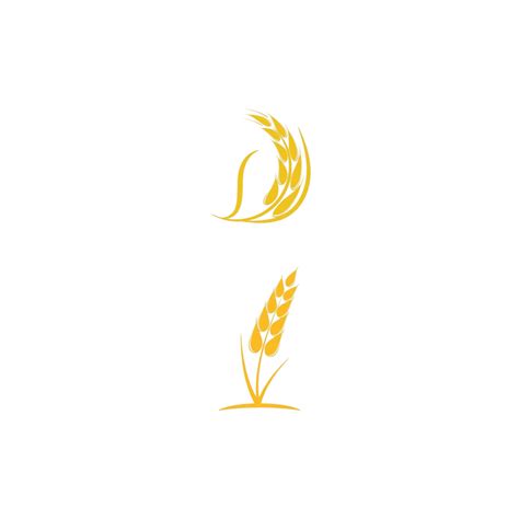 Wheat Logo Template Vector Symbol Grain Nutrition Symbol Vector Grain