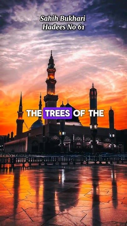 Tree Like A Muslim Hadees Quran Islam Youtube