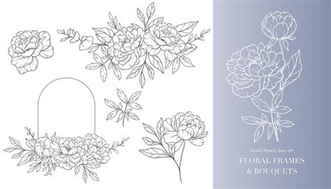 Premium Vector | Peony flower line art floral frames and bouquets line ...