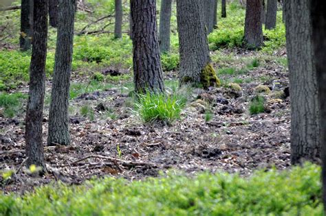 Powstrzyma Skutki Suszy Sozosfera Ochrona Rodowiska