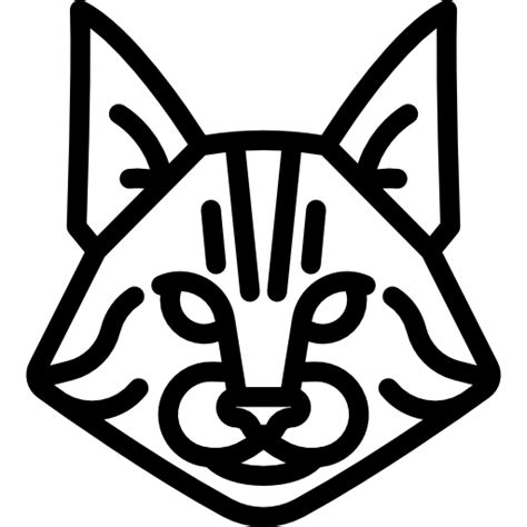 Maine Coon Cat Icon