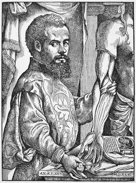 Andreas Vesalius Nbelgian Anatomist Woodcut From The First