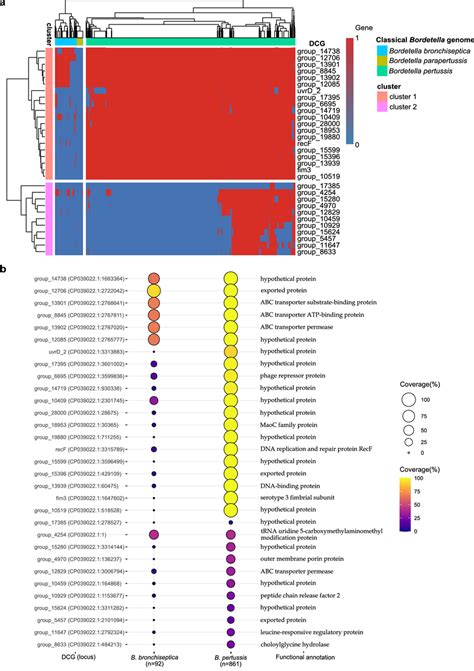 Screening Of New Pangenome Based Diagnostic Targets For Specific