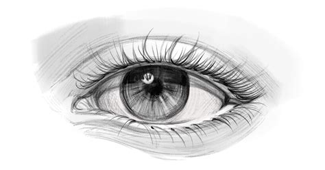 How to Draw a Realistic Eye Step by Step 2024 | Xencelabs