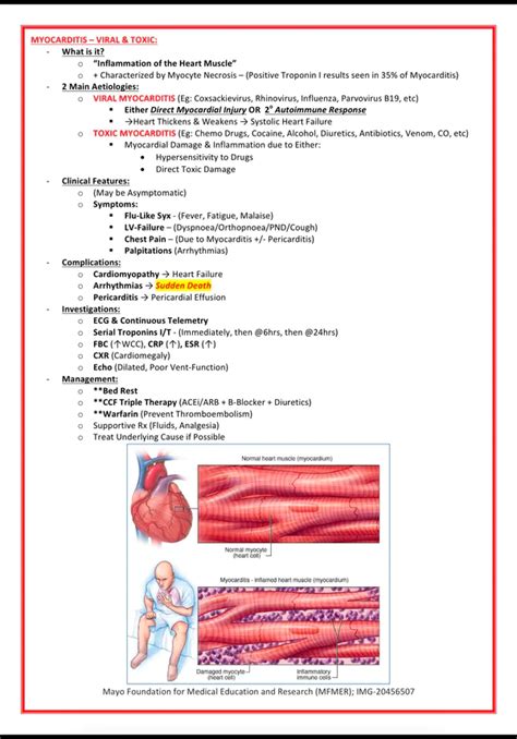 Public Health & Microbiology - Mednotes student