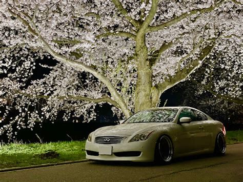 スカイラインクーペのドライブ・桜とコラボ🌸に関するカスタム事例｜車のカスタム情報はcartune