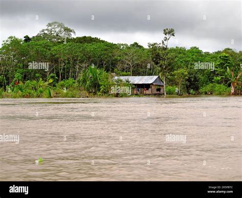 The Amazon River Peru In South America Stock Photo Alamy