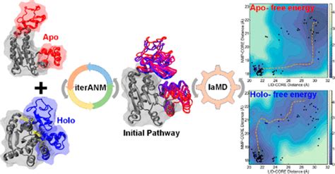 Large Scale Biomolecular Conformational Transitions Explored By A