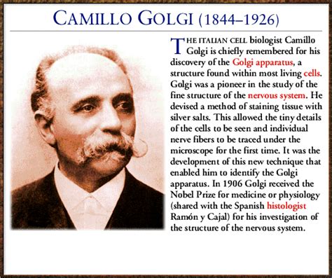 Camillo Golgi - Alchetron, The Free Social Encyclopedia