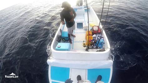 Live Bait Using Buoys Buoy Fishing In Maldives Youtube