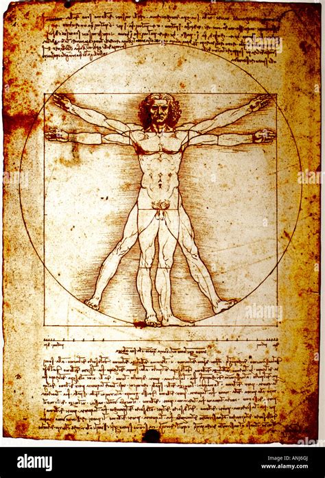 Homme De Vitruve Par Leonardo Da Vinci Photo Stock Alamy