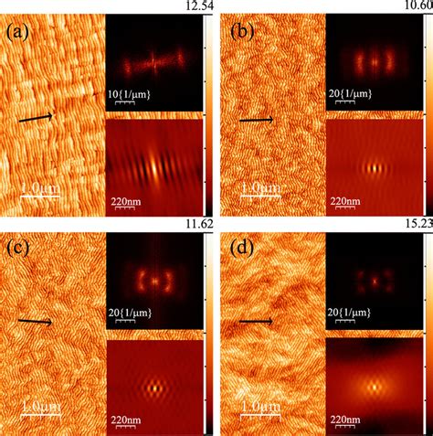 AFM images of Si 100 surfaces irradiated with Au À at different