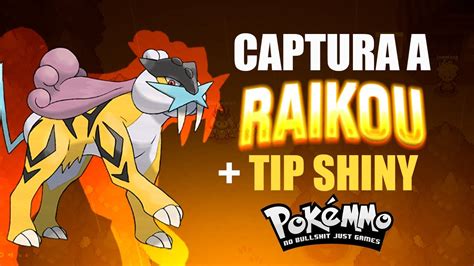 Captura A Raikou Segundo Legendario En Pokemmo Tip Shiny Youtube