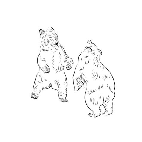 60+ Growling Grizzly Bear Drawings Stock Illustrations, Royalty-Free ...