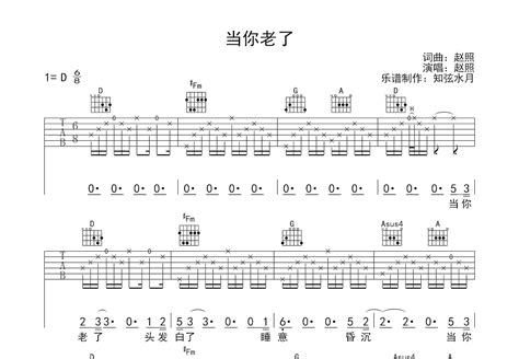 当你老了吉他谱赵照d调弹唱69专辑版 吉他世界