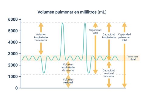 Espirometria Simple Oposiciones De Fisioterapia