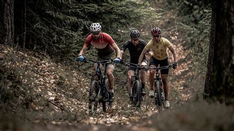 Hoe Kies Je Het Juiste Zadel Voor Je Mountainbike En Racefiets En