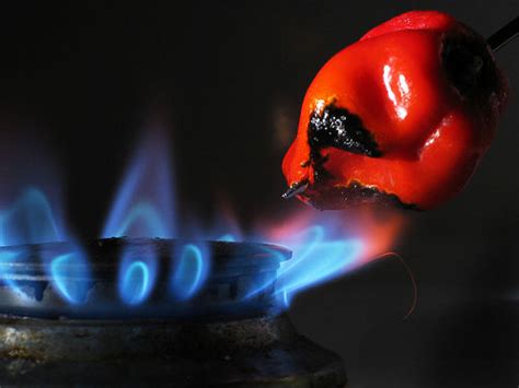 Chilli Porn The Chilli King