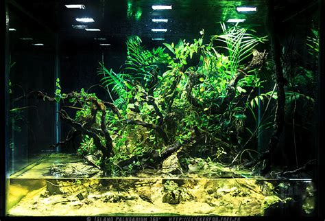 Island Paludarium 360 A To Z 185 Gal 40 X 40 X 28 Page 11