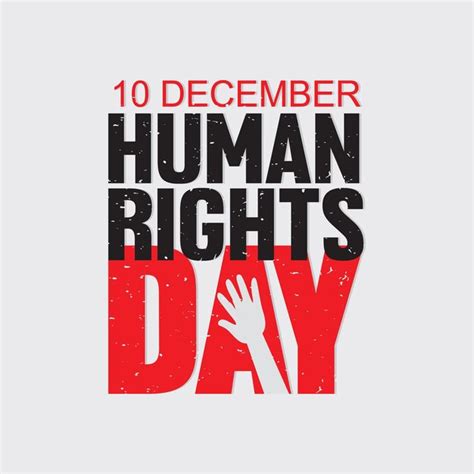 Premium Vector Human Rights Day Typography Vector For Celebrate