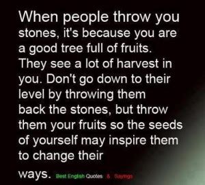 Dont Throw Stones Quotes QuotesGram