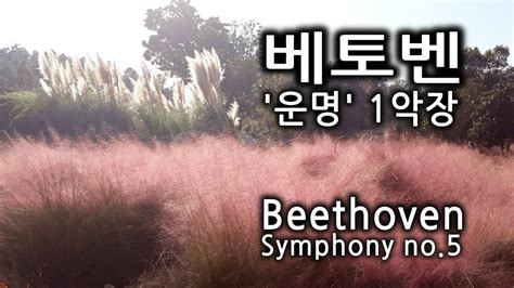 🎵베토벤 교향곡5번 운명 1악장 1시간 연속듣기 ♬ Beethoven Symphony No5 드라이브할때듣는음악