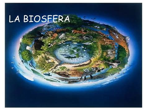 Exemplos de Biosfera e o Uso de Adequação Baseada nos Modelos Mundo