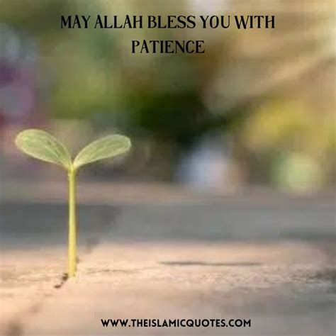 May Allah Bless You Quotes for Muslims (With Pictures