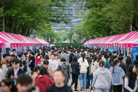 莲都专场招聘会！3000岗位人气火爆 快讯 丽水网 丽水新闻综合门户网站