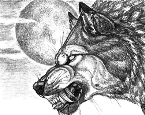 Werewolf | Wolf drawing, Wolf tattoos, Werewolf art