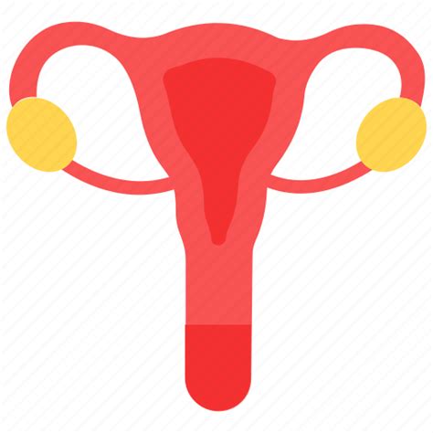 Female Reproductive System Png