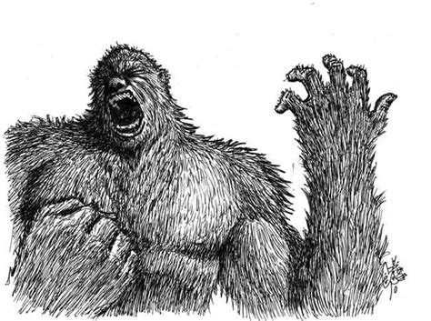 Oregon Bigfoot Art Drawings And Paintings