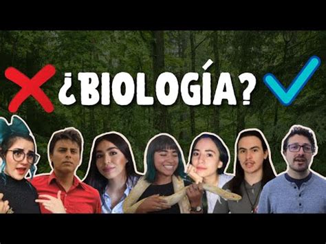 Descubre Las Mejores Universidades De Espa A Para Estudiar Biolog A