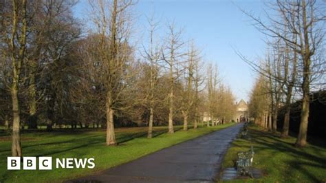 Cardiff Police Arrest Man 19 After Bute Park Sex Assault Bbc News