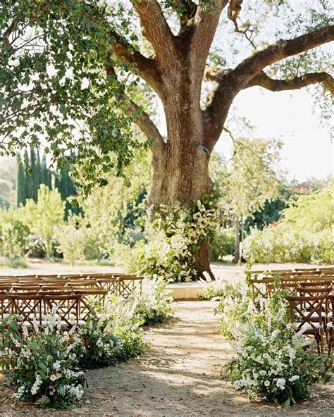 Planting Love: The Symbolism of Trees in Wedding Ceremonies - The ...