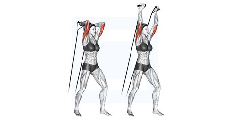 Band Overhead Triceps Extension Guide Benefits And Form