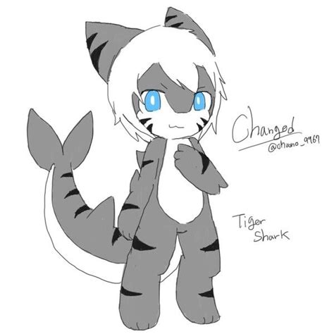 Tiger Shark Changed Art