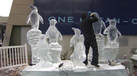 A Brrr-illiant Display: Ice sculptures of New England Aquarium penguins ...