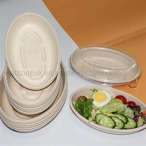 Watsonpak Takeaway Food Packaging Biodegradable Product Food Grade Pulp