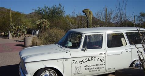 Journeys and Wanderings: Desert Museum, Tucson, AZ