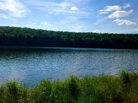 Bowman Lake State Park Oxford Ny Adventures In New York