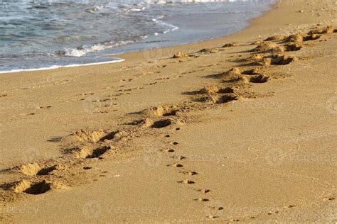 Footprints In The Sand By The Sea 17325319 Stock Photo At Vecteezy