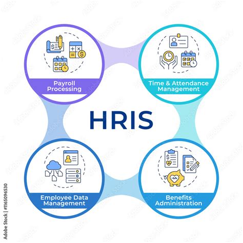 hris infographic circles flowchart human resource information system