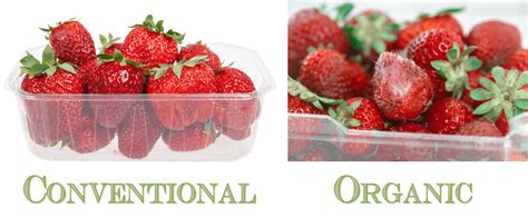 How Do You Know If Strawberries Are Organic Broadpick